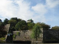 IMG_4091.JPG